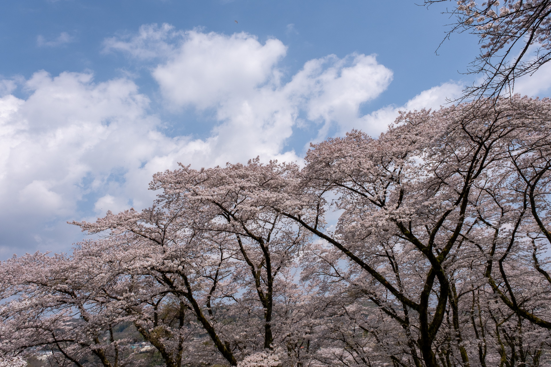 しばらくご無沙汰していました