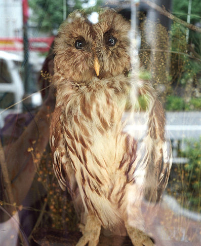 はじめまして、写真家 林道子です。