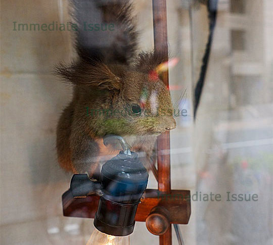 Immediate Issue　～いま日本にいるアーティストとして伝えたいこと～