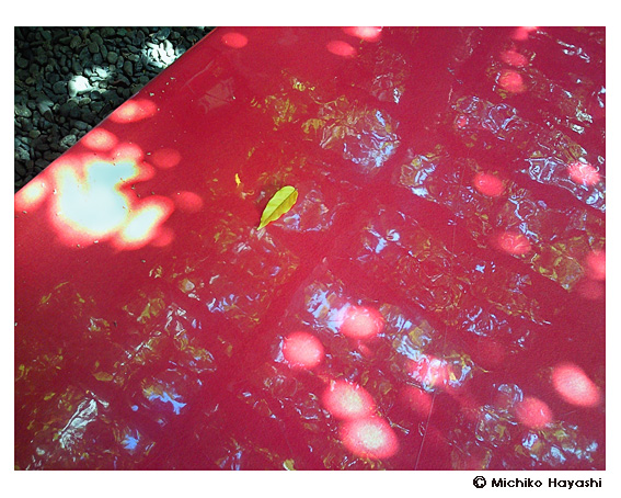 写真のぬくもり